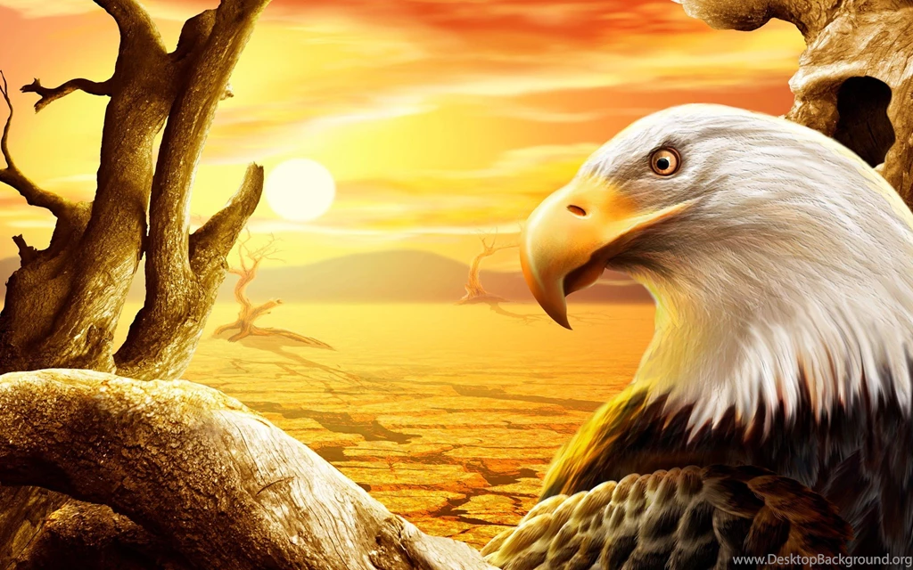 Eagle Wallpapers