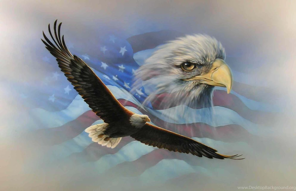 Bald Eagle Desktop Backgrounds