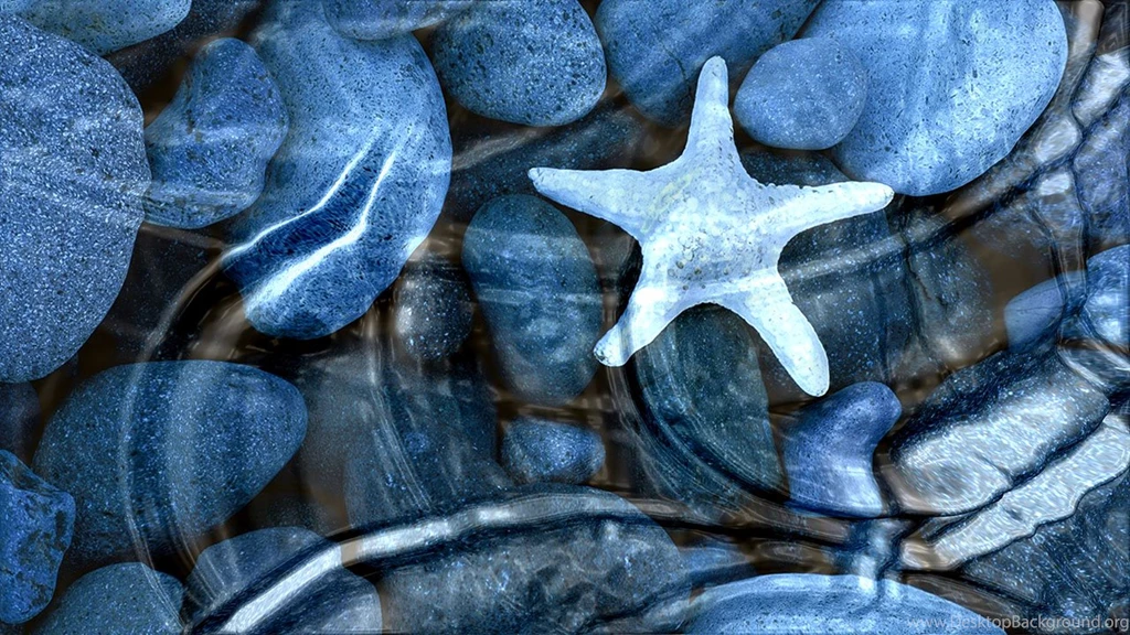 3D Motion Desktop