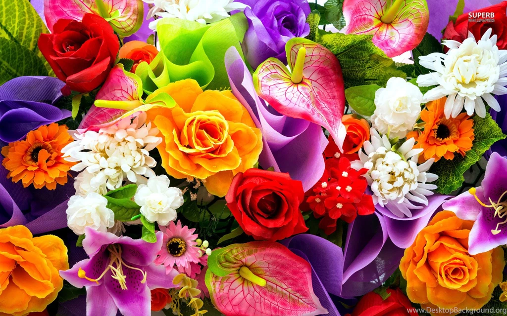Flower Wallpapers 29e HD Wallpapers