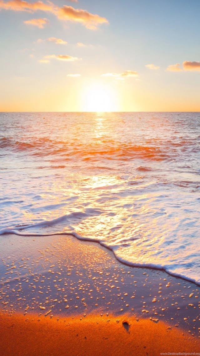 Golden Beach iPhone 5s Wallpapers Download
