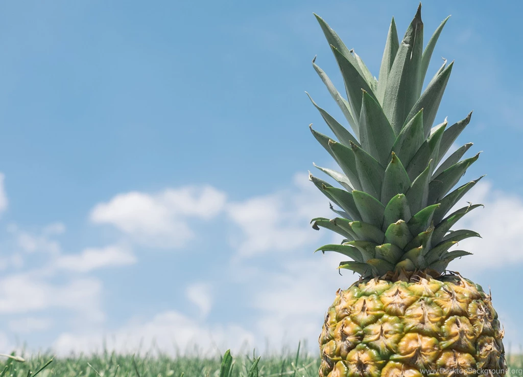Pineapple 21:9 Wallpapers