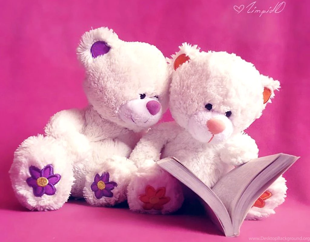Teddy Pictures