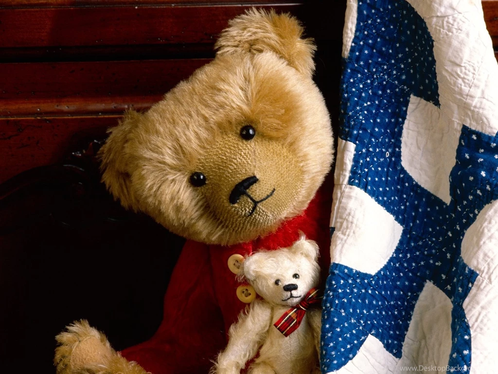 Teddy Bear Lonely Windows 8 Theme And Wallpapers