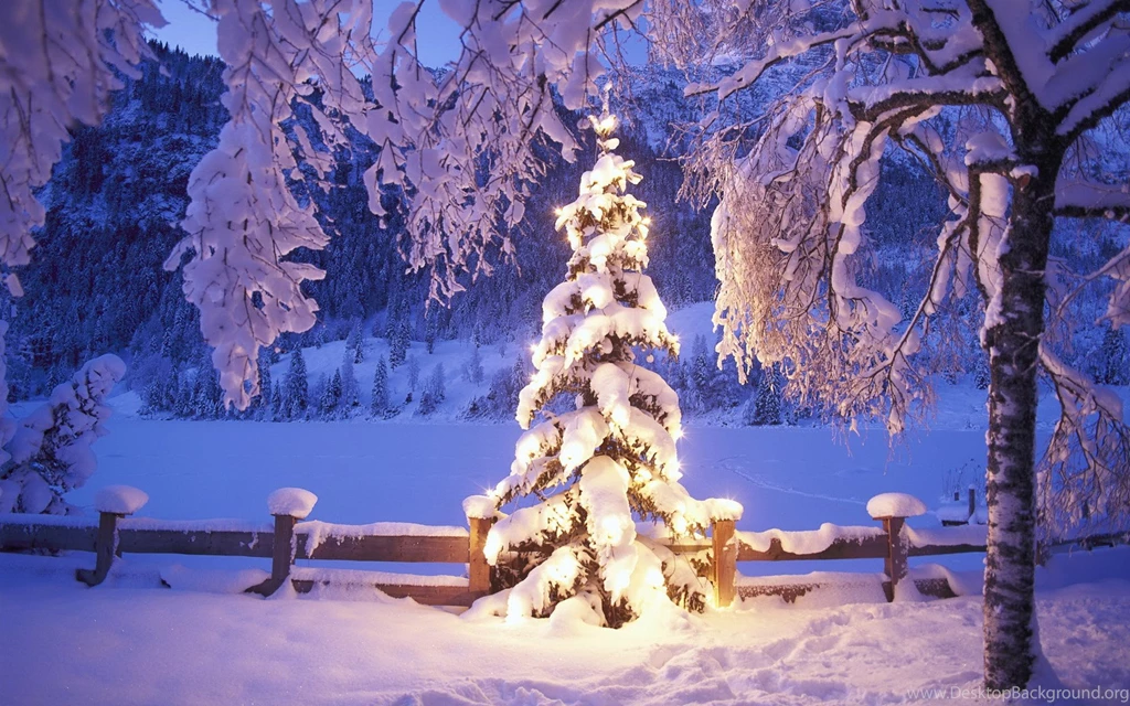Christmas Tree Wallpapers