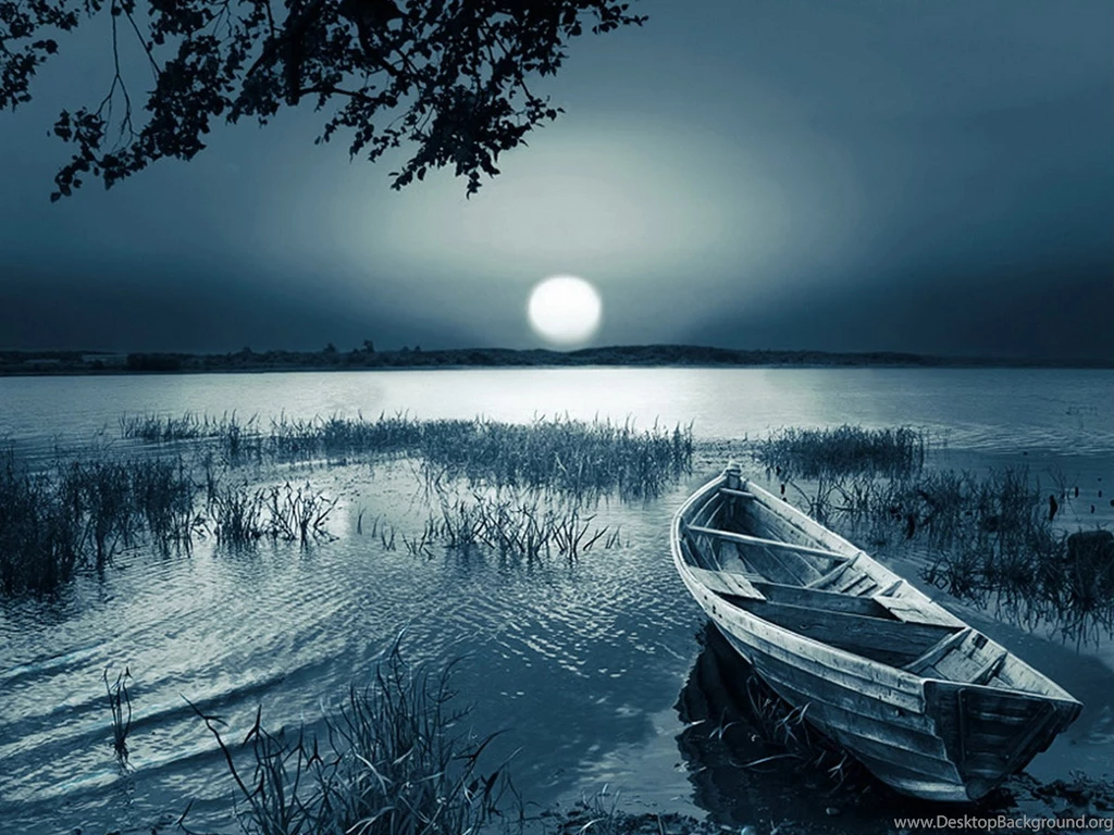 Nature Wallpapers Night