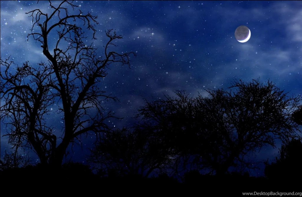 Night Nature Wallpapers