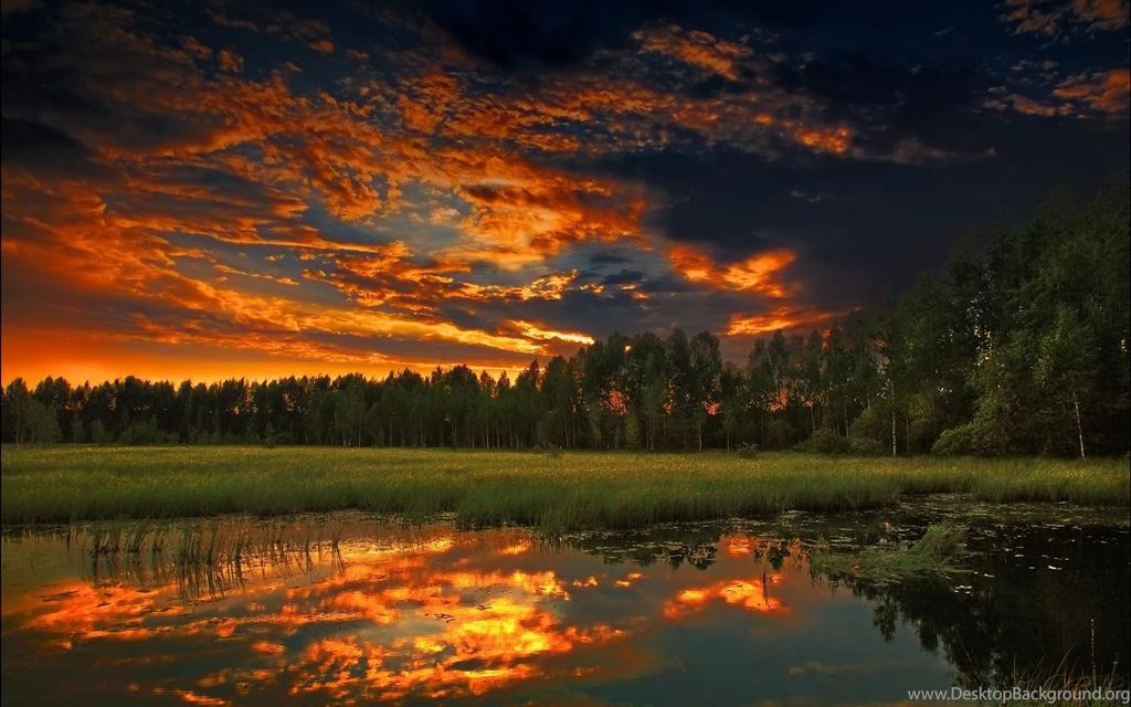 Clouds Forests Lakes Landscapes Nature Night Sky Sunset ...