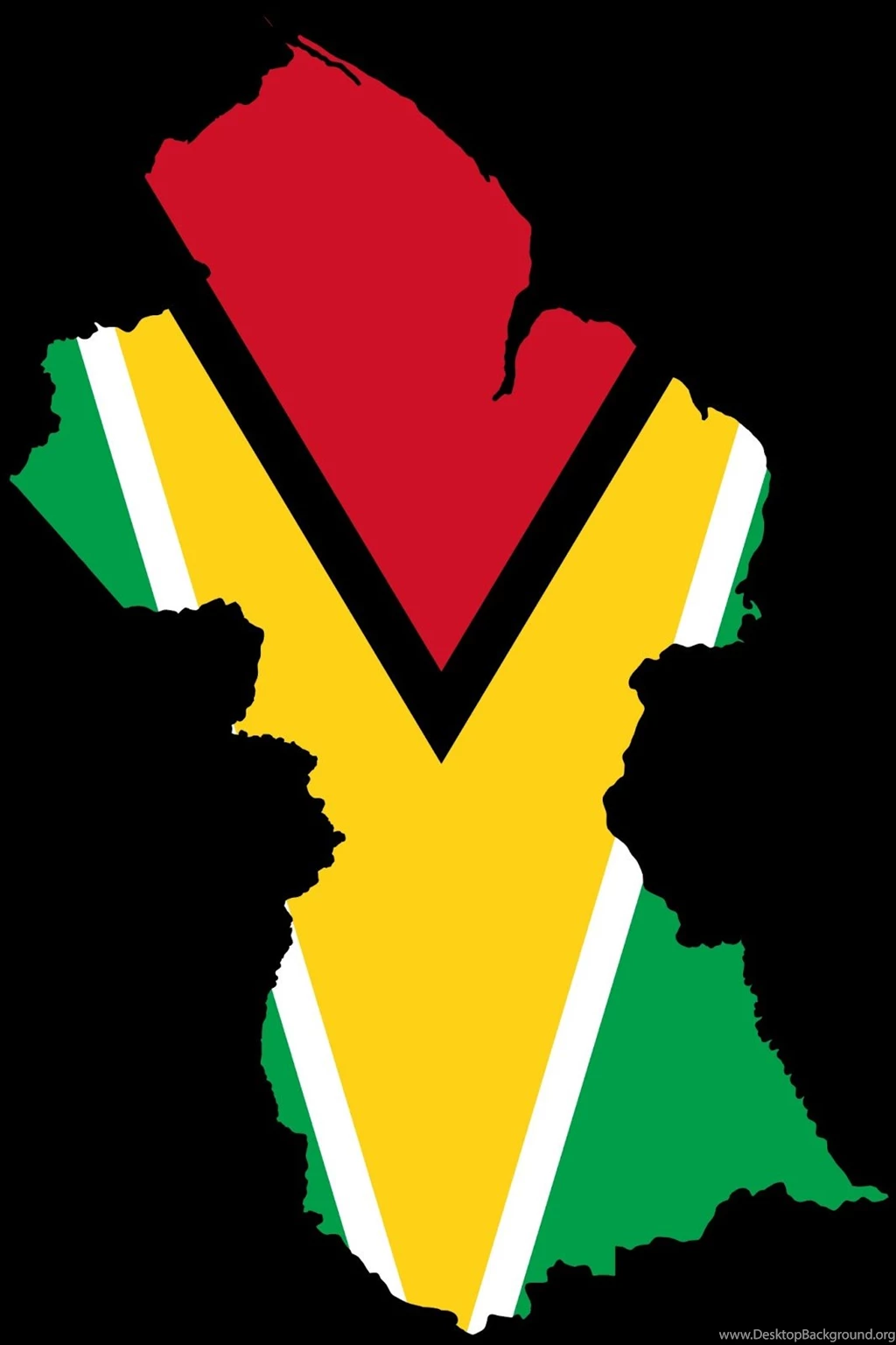 Flag Of Guyana JANCOK