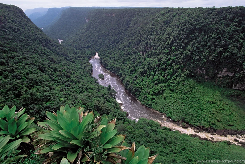 3000x2314px Guyana