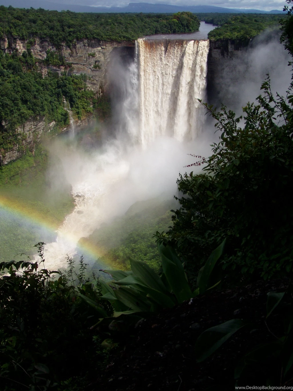Kaieteur Falls Wikipedia, The Free Encyclopedia