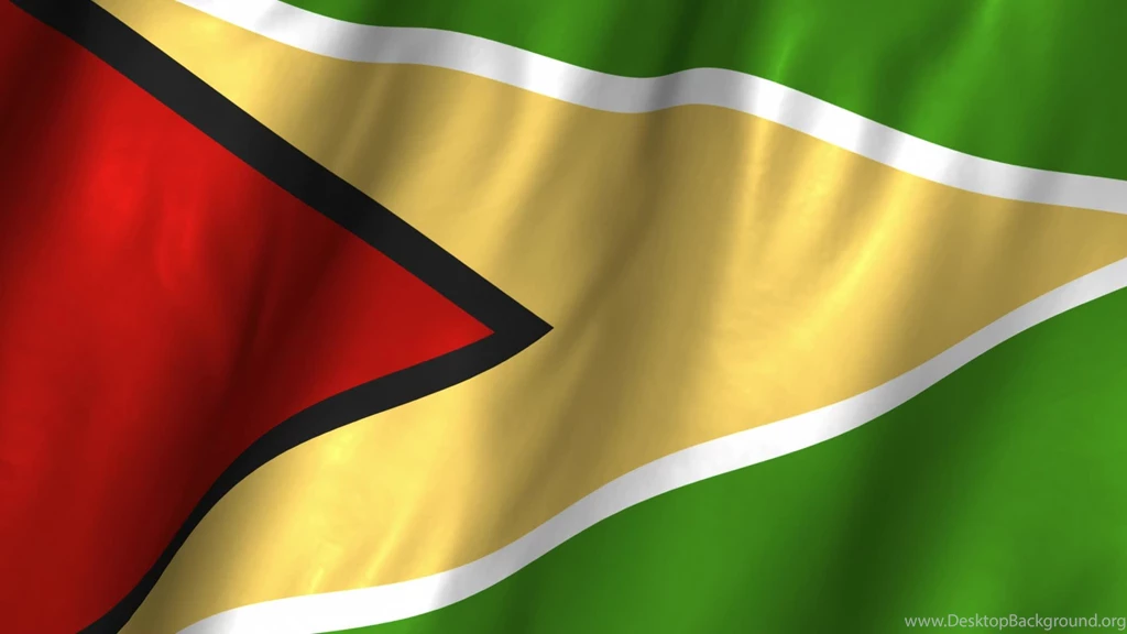 Guyana Waving Flag Stock Video 12279235