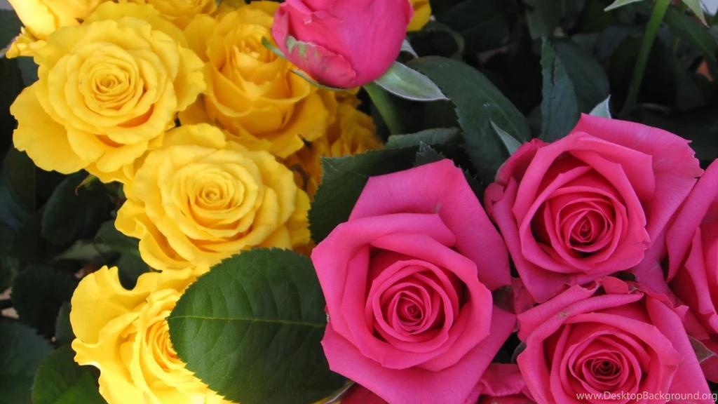 Download Wallpapers 3840x2160 Roses, Flowers, Buds, Pink, Yellow 4K ...