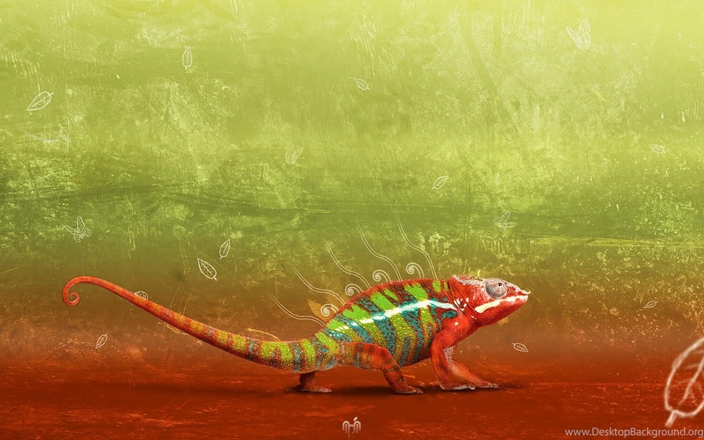 Full HD Wallpapers + Animals, By Fabian Warnke, Chameleons ...
