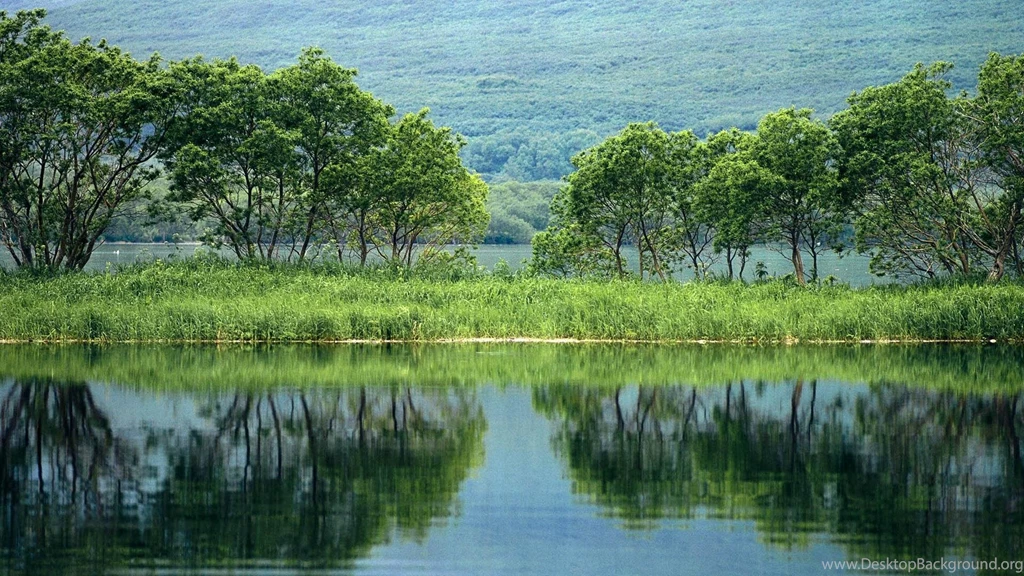 Hd River And Forest Reflection Desktop Backgrounds Widescreen And ...