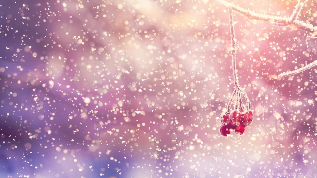 Winter Flower