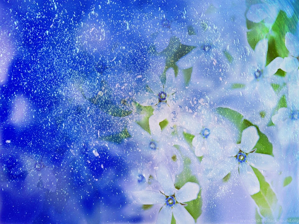Winter Flower Wallpapers 2015 Grasscloth Wallpapers