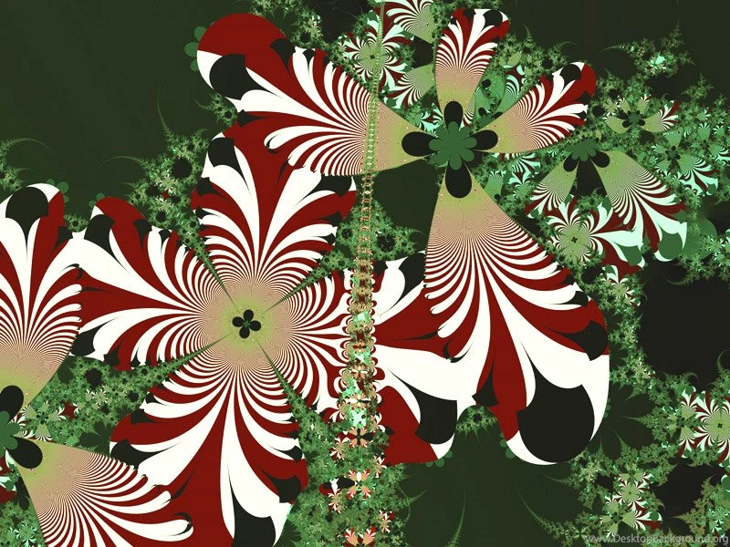 Fractal Art By Vicky Winter Flowers Wallpapers