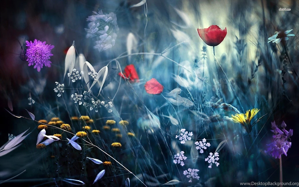 Wild Flower Wallpaper Images Images Tbwnz.com