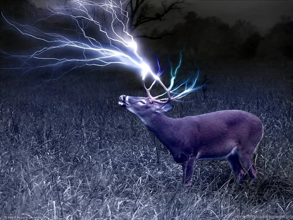 Hunting Wallpapers Wallpapers Zone