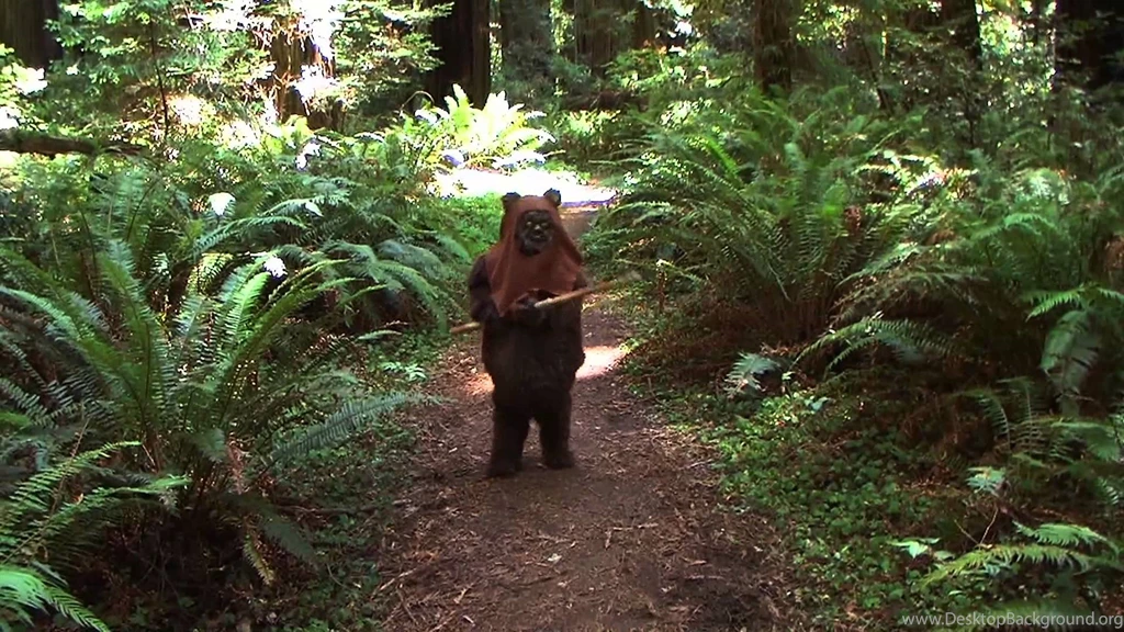 The Ewok Adventure – August 2014