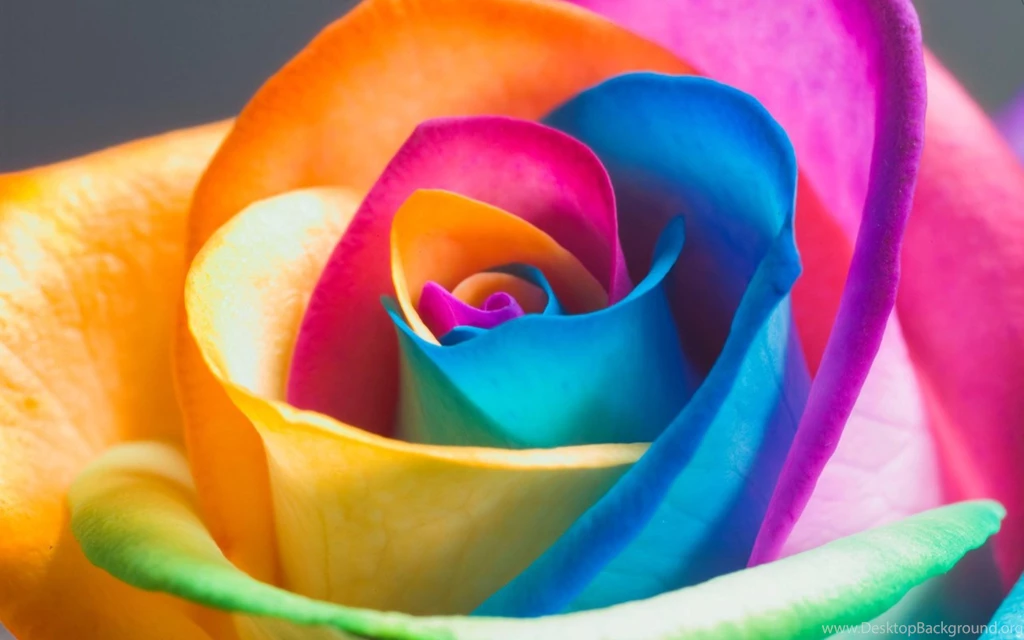 Pretty Wallpapers Perfect F7T » WALLPAPERUN.COM