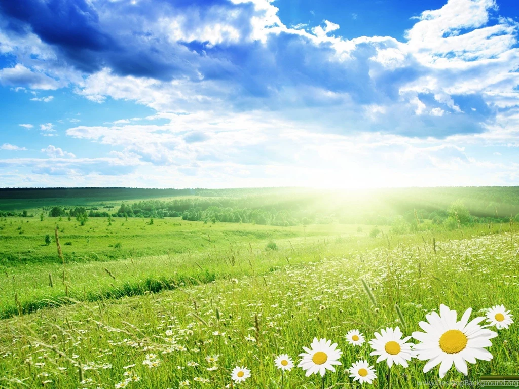 Pretty Wallpapers Top C8Y » WALLPAPERUN.COM
