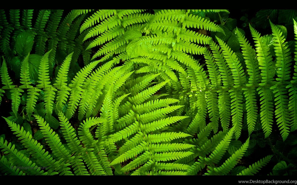 Photography Hd Wallpapers 1080x607 Love Wallpapers Photography
