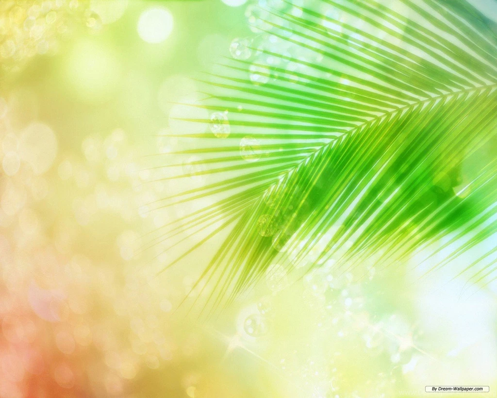 Free Summer Wallpapers For Desktop