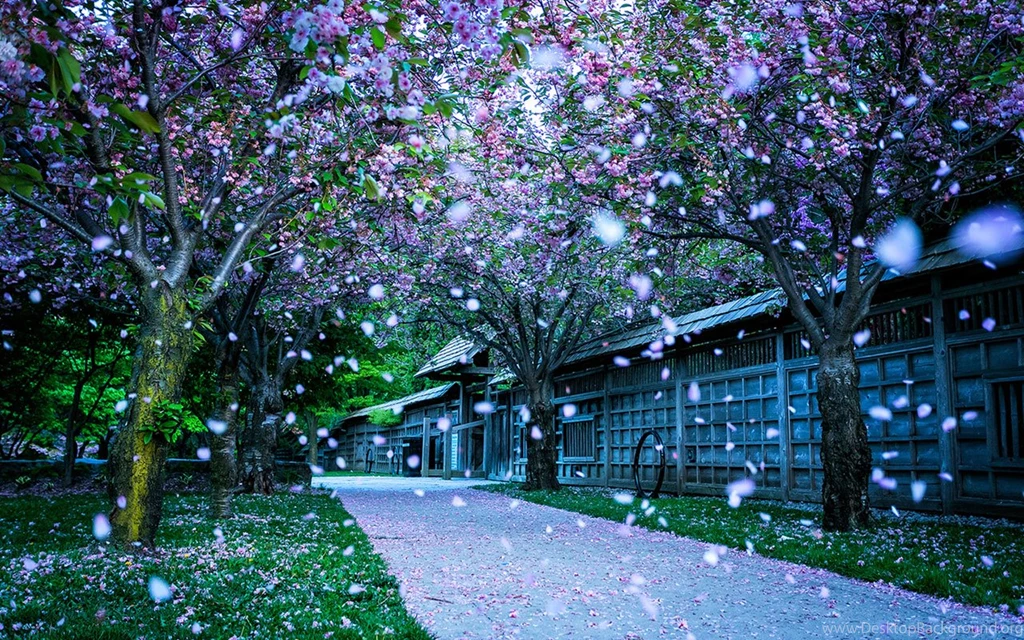 Beautiful Dreamy Street Road Scenery HD Photography Wallpapers 12 ...