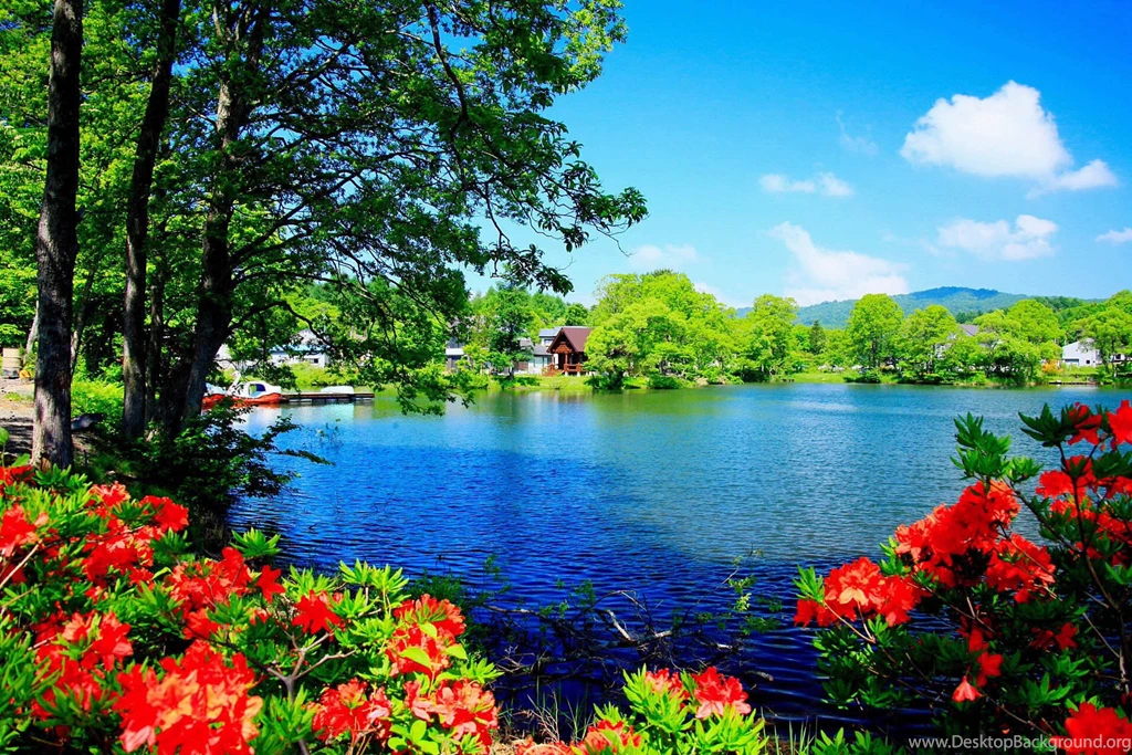 Beautiful Images Of Nature
