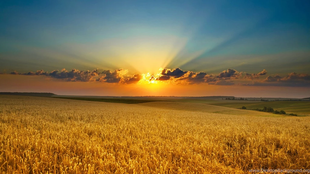 These Are Our Nature Backgrounds Including Some Beaches And Some ...