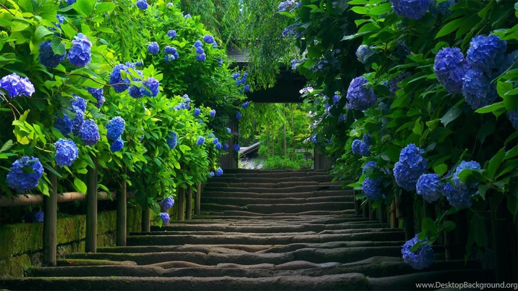pretty backgrounds nature wallpapers