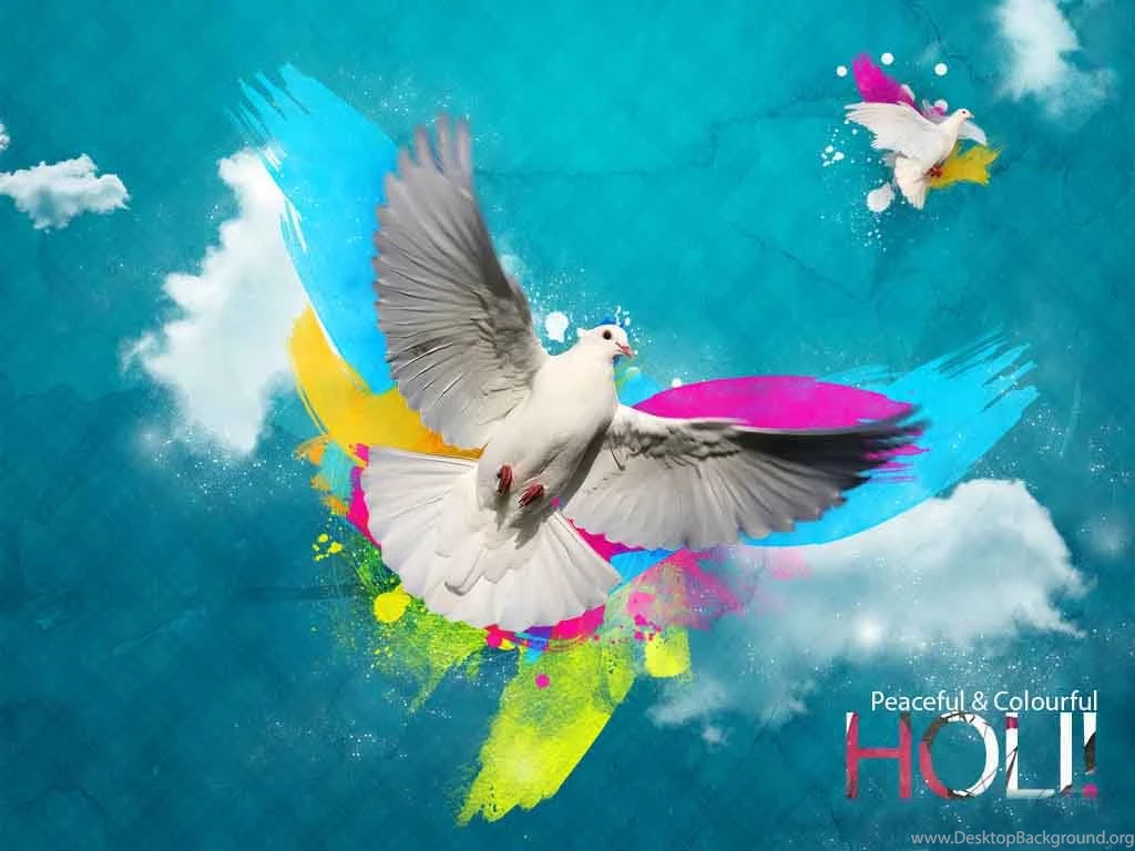 Happy Holi With White Bird Desktop Hd Wallpapers