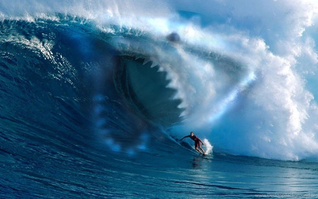 Shark Wallpapers Collection (37+)