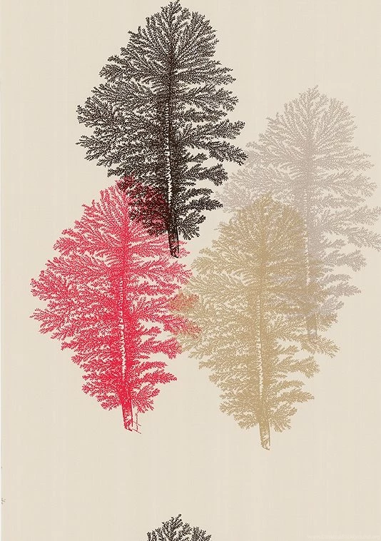 Modern Wallpapers By Cole & Son