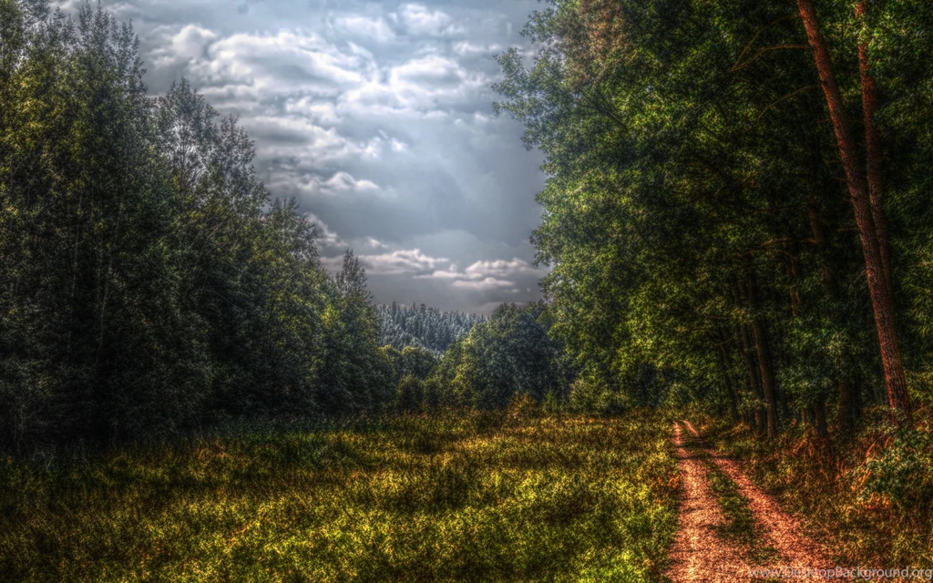Hdr Photography Paths Trees Wallpapers (