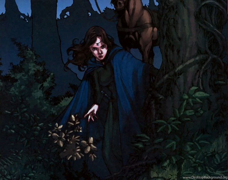 Horses,Wheel Of Time Horses Wheel Of Time Moiraine 1360x1077 ...