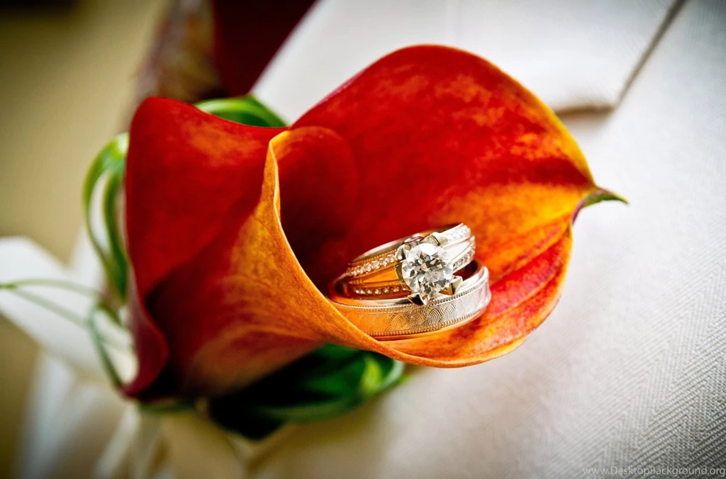 8 Engagement Wishes Wallpapers :: Wedding Engagement Wallpapers