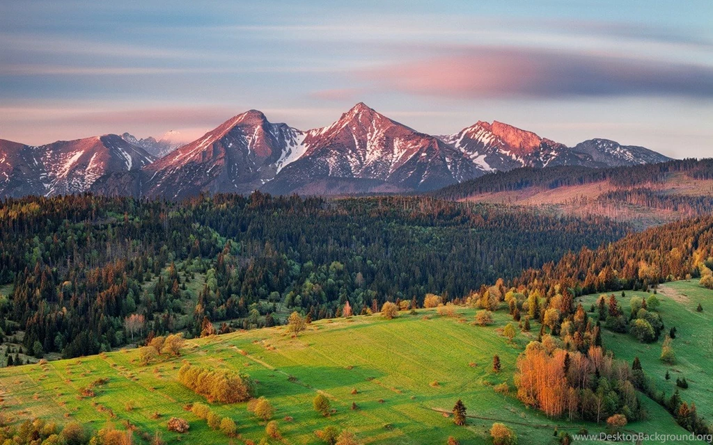 Nature, Landscape, Morning, Sunrise, Mountain, Snowy Peak, Forest ...