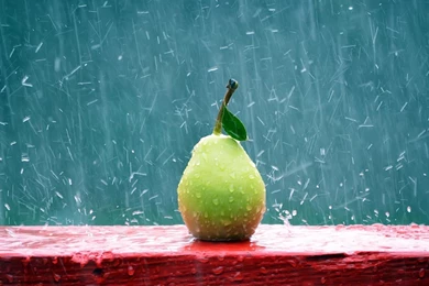Pear Rain Photography_1.jpg