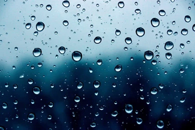 Live Rain Wallpapers