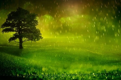 Rain Wallpapers Desktop