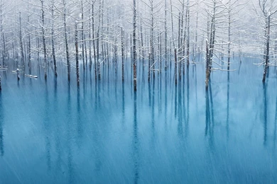 Full HD 1080p Rain Wallpapers HD, Desktop Backgrounds 1920x1080