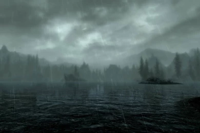 Free After Rain Wallpapers