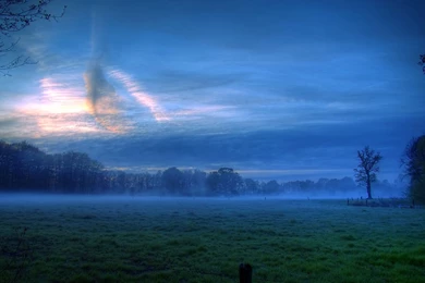 Download Nature Rain Wallpapers HD Resolution