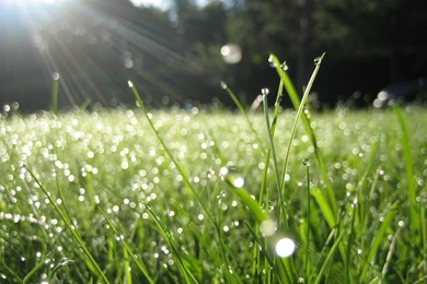 Rain Wallpapers Desktop