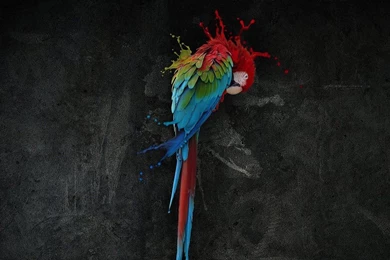 137 Galaxy S3 Wallpapers Re sized Perfectly   Suleiman