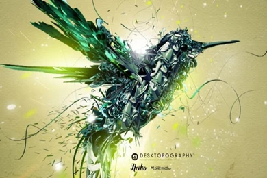 Humming Bird Galaxy S3 Wallpapers (720x1280)