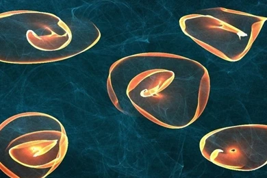 720x1280 Lights And Smoke Galaxy S3 Wallpapers